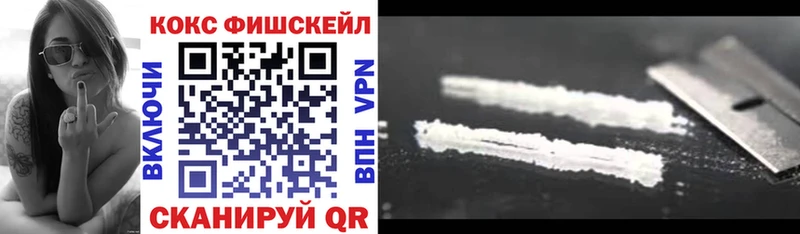 COCAIN FishScale  что такое наркотик  Саранск 