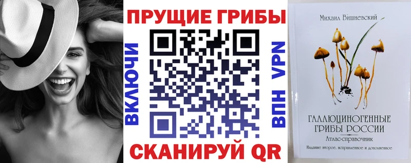 цена наркотик  Саранск  Псилоцибиновые грибы прущие грибы 